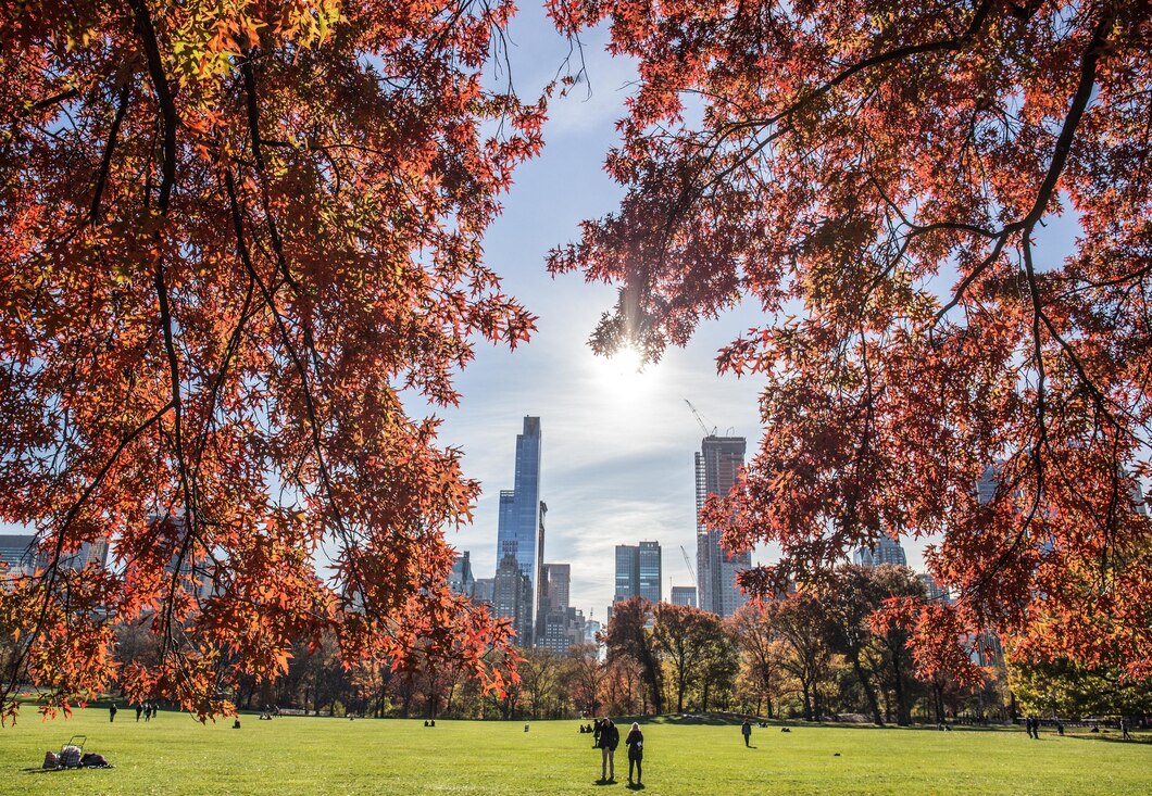 Best Park In The USA