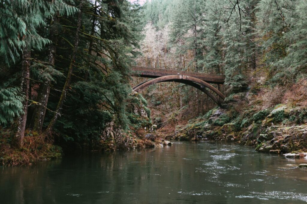 Hoh Rainforest, Washington