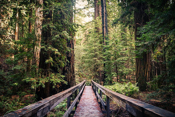 Mendocino, California