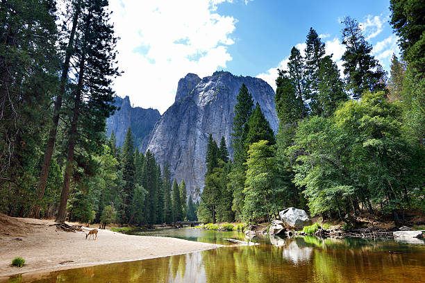 Yosemite National Park, California