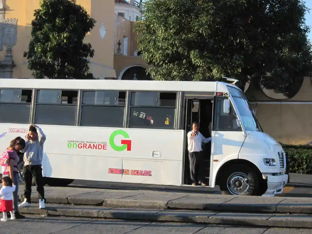 Local buses/camiones/colectivos